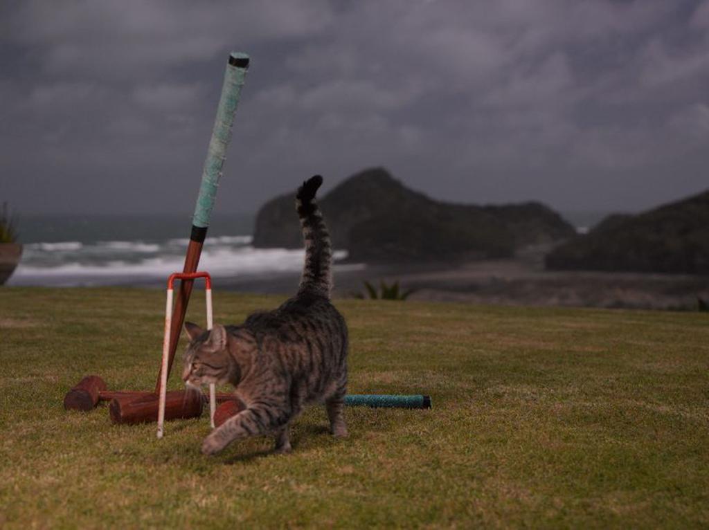 Bethells Beach Cottages Bagian luar foto