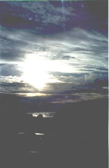 Bethells Beach Cottages Bagian luar foto