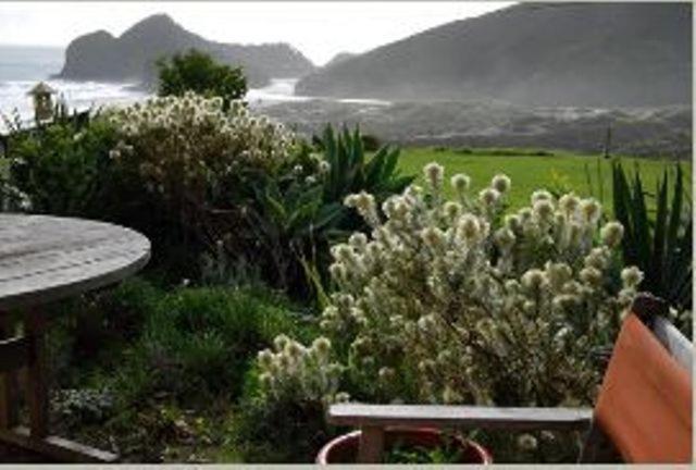 Bethells Beach Cottages Bagian luar foto