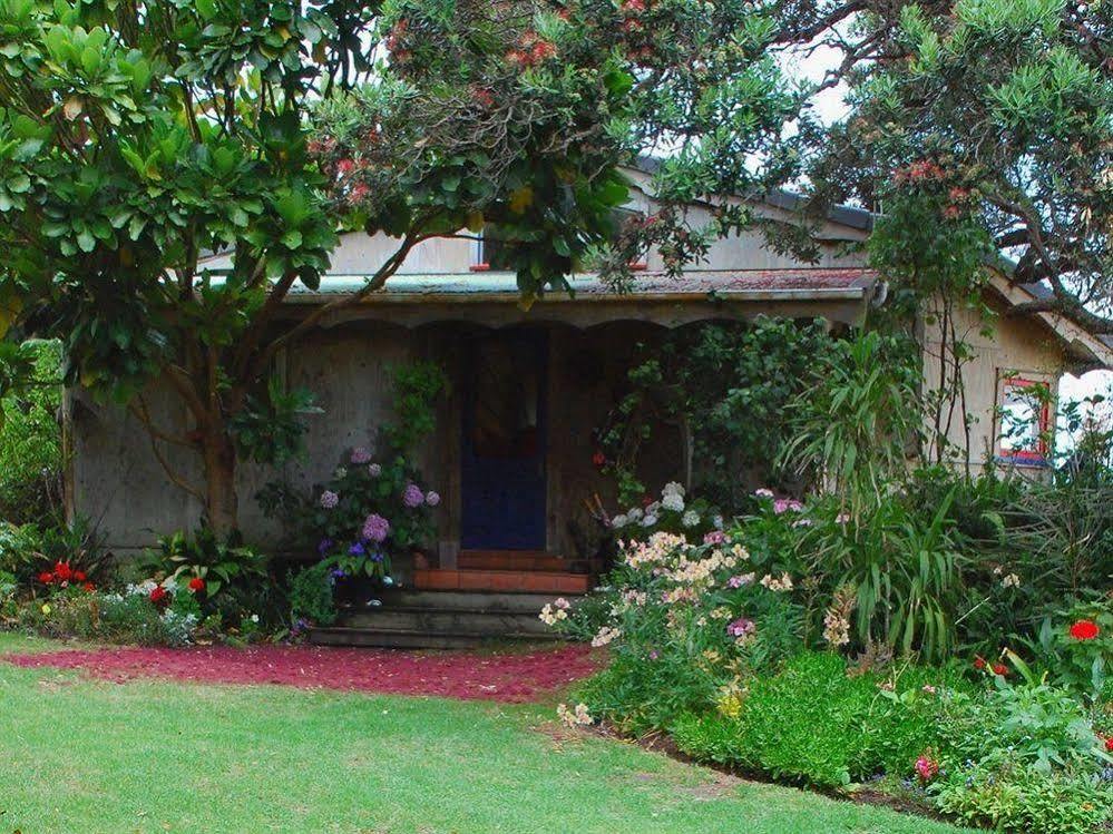 Bethells Beach Cottages Bagian luar foto