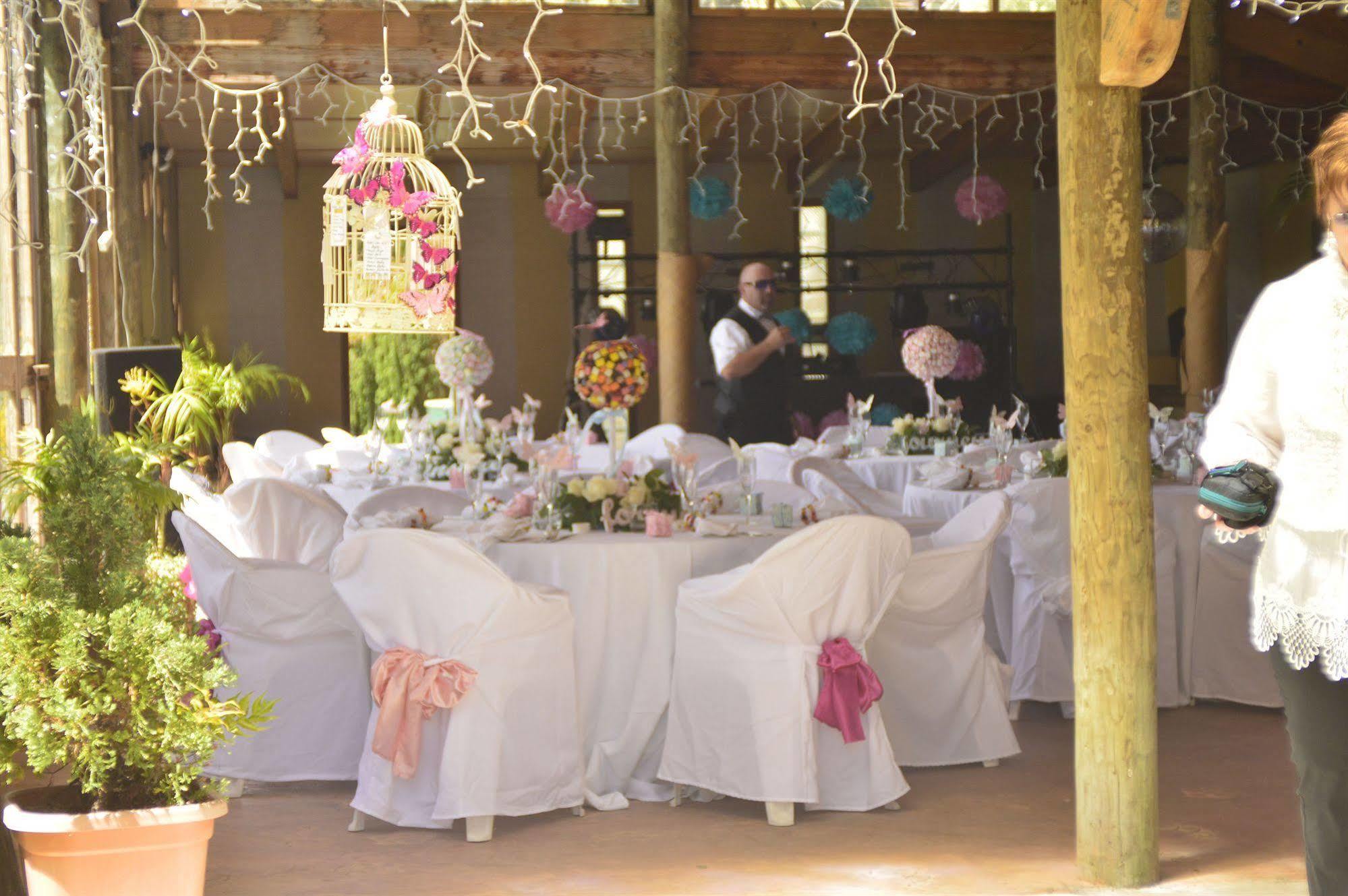 Bethells Beach Cottages Bagian luar foto