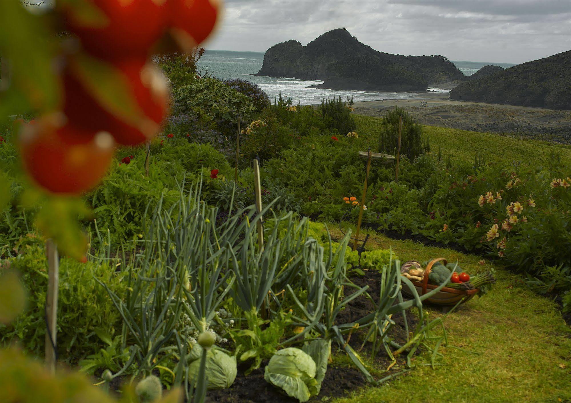 Bethells Beach Cottages Bagian luar foto